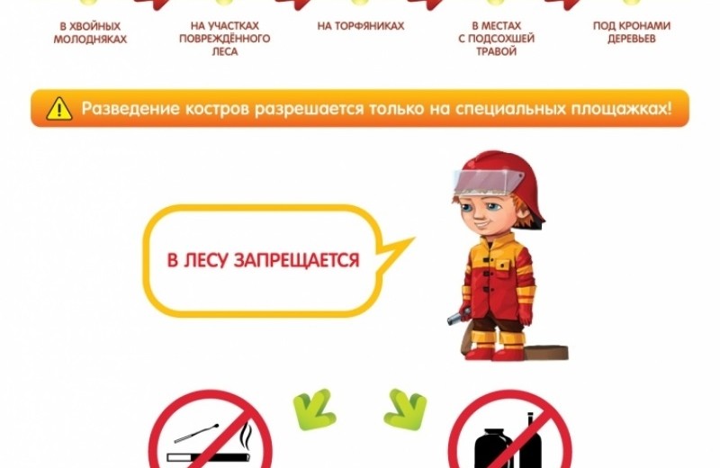 Правила пожарной безопасности в  лесу